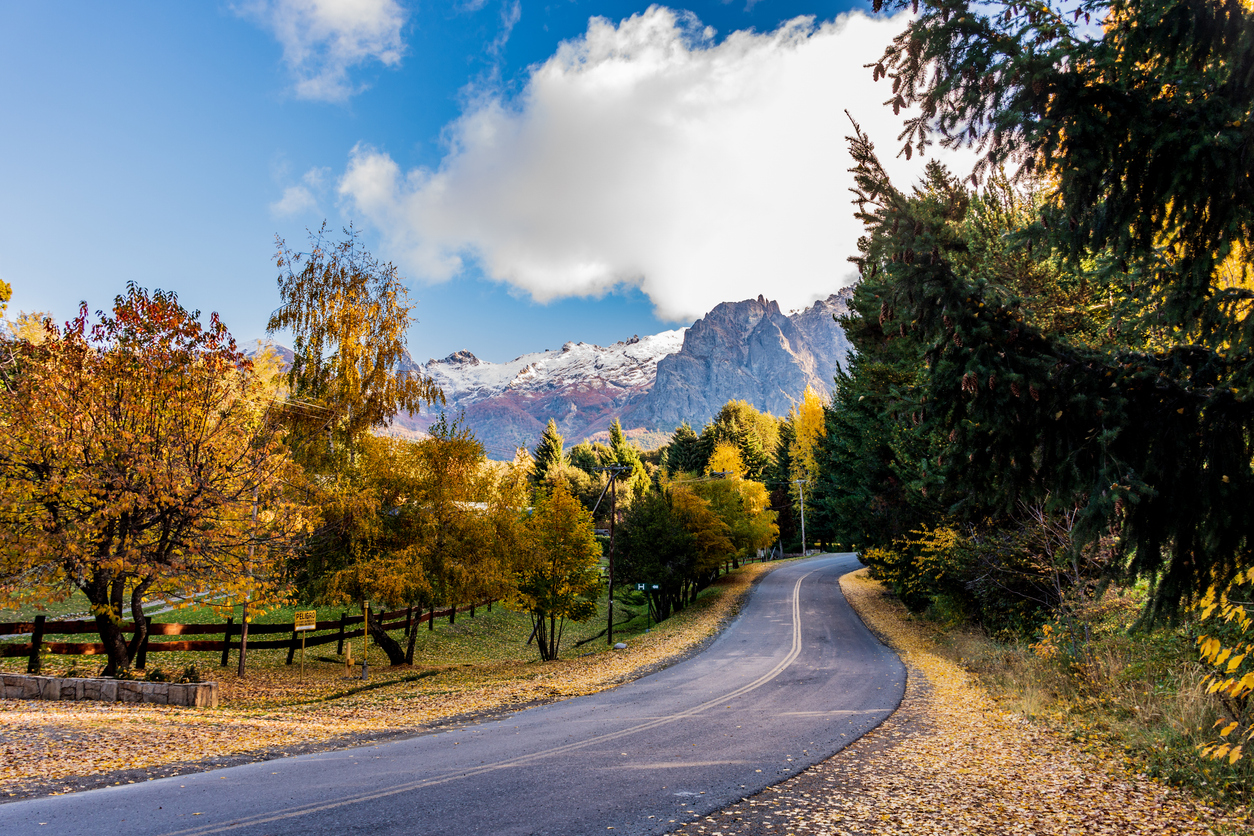 Kurvige Straße führt durch bunte Laubbäume auf schroffe, teils verschneite Berge zu.