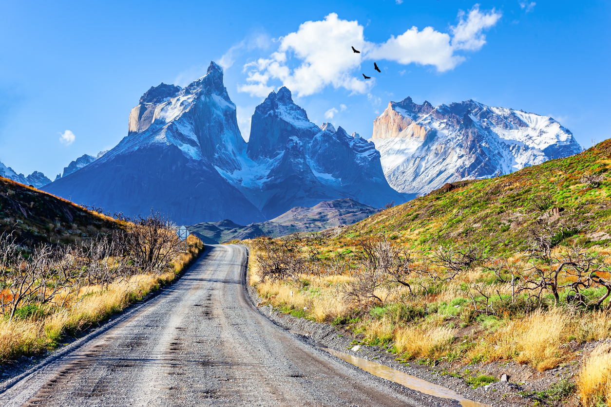 Eine Schotterstraße führt durch Steppe auf die gezackten, verschneiten Berge des Torres del Paine zu.