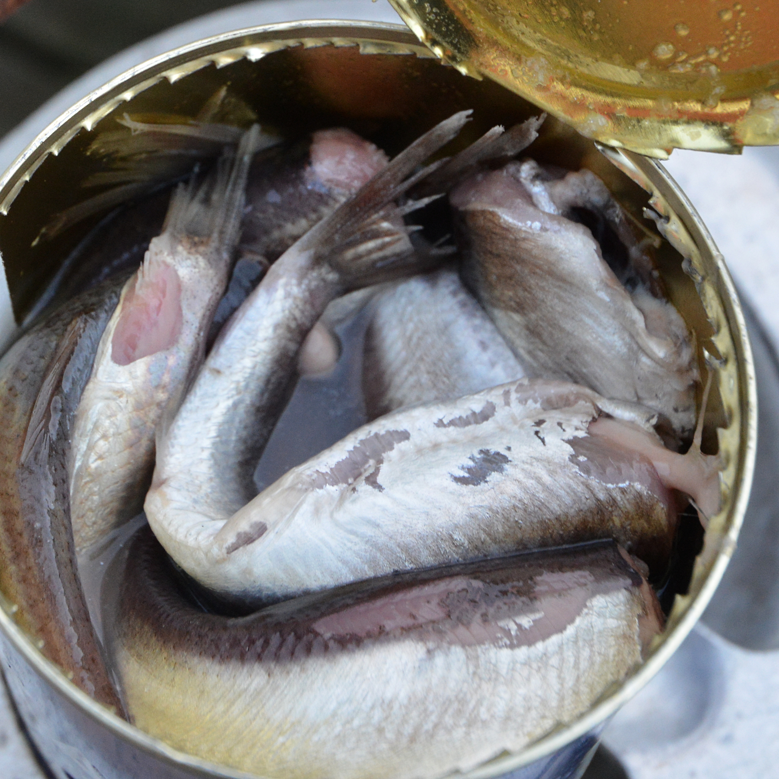 Surströmming - Der beliebte saurer Hering aus Schweden