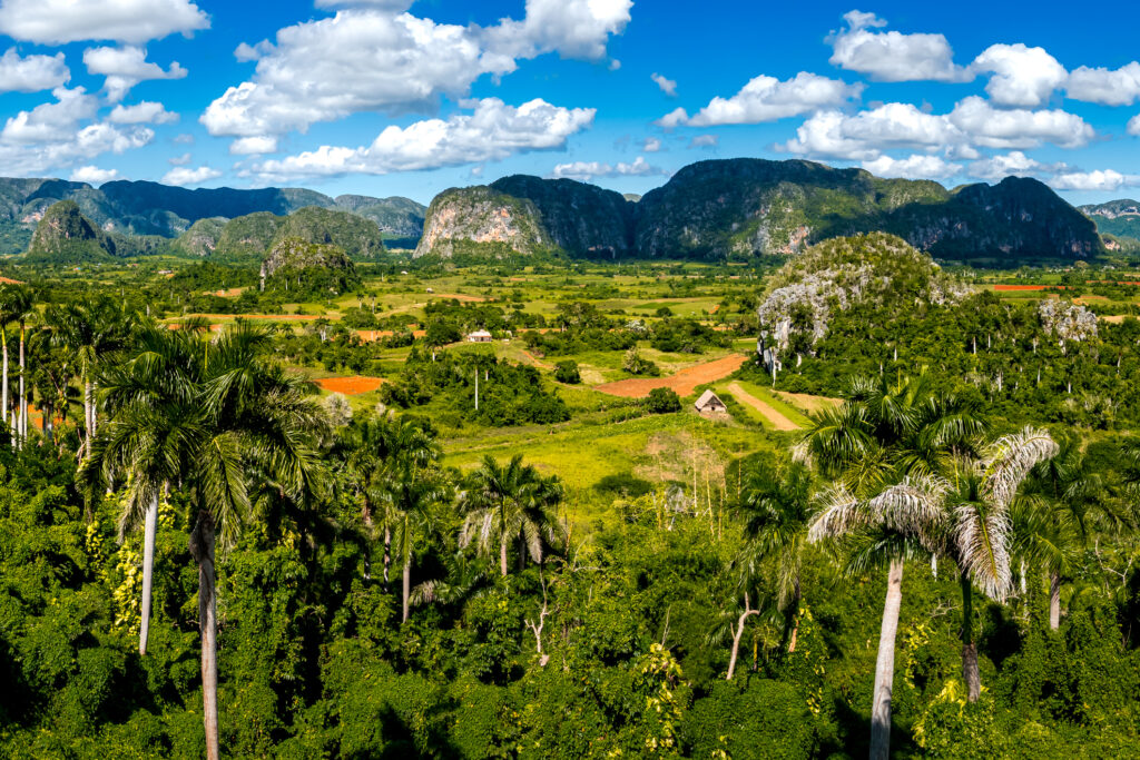 Das Viñales Tal in Kuba wo der kubanische Tabak angebaut wird