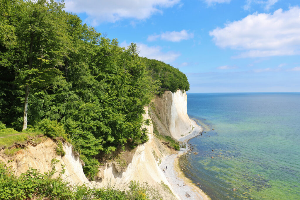 Der Nationalpark Jasmund mit seinen Kreidefelsen auf der Insel Rügen
