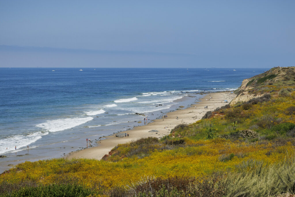 Der Strand im Naturschutzgebiet Crystal Cove State Park