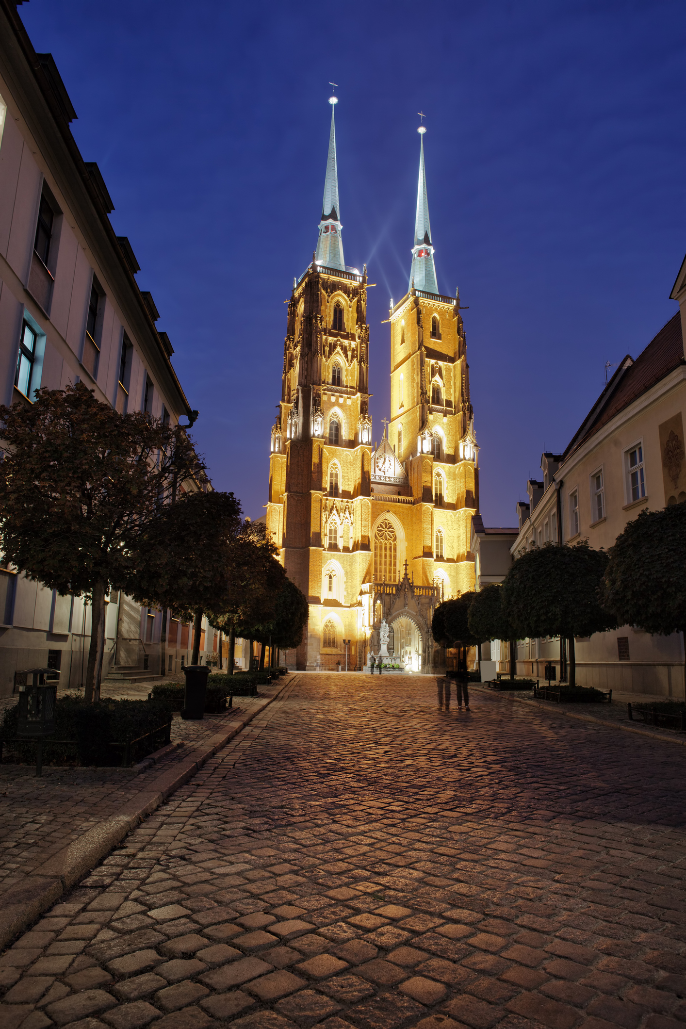 Die Kathedrale in der Nacht in Breslau