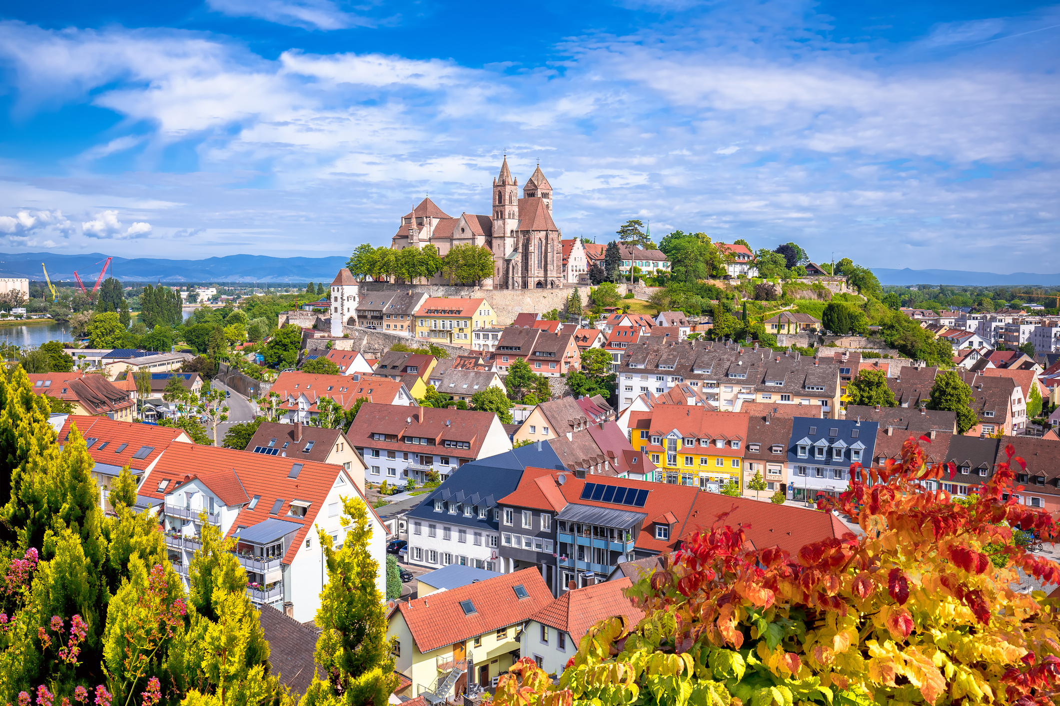 Herbstlicher Blick über die historische Stadt Breisach am Rhein mit Blick auf den Dom