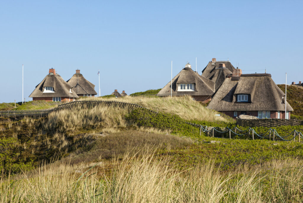 Reetgedeckte Sommerhäuser in den Dünen von Hörnum auf Sylt