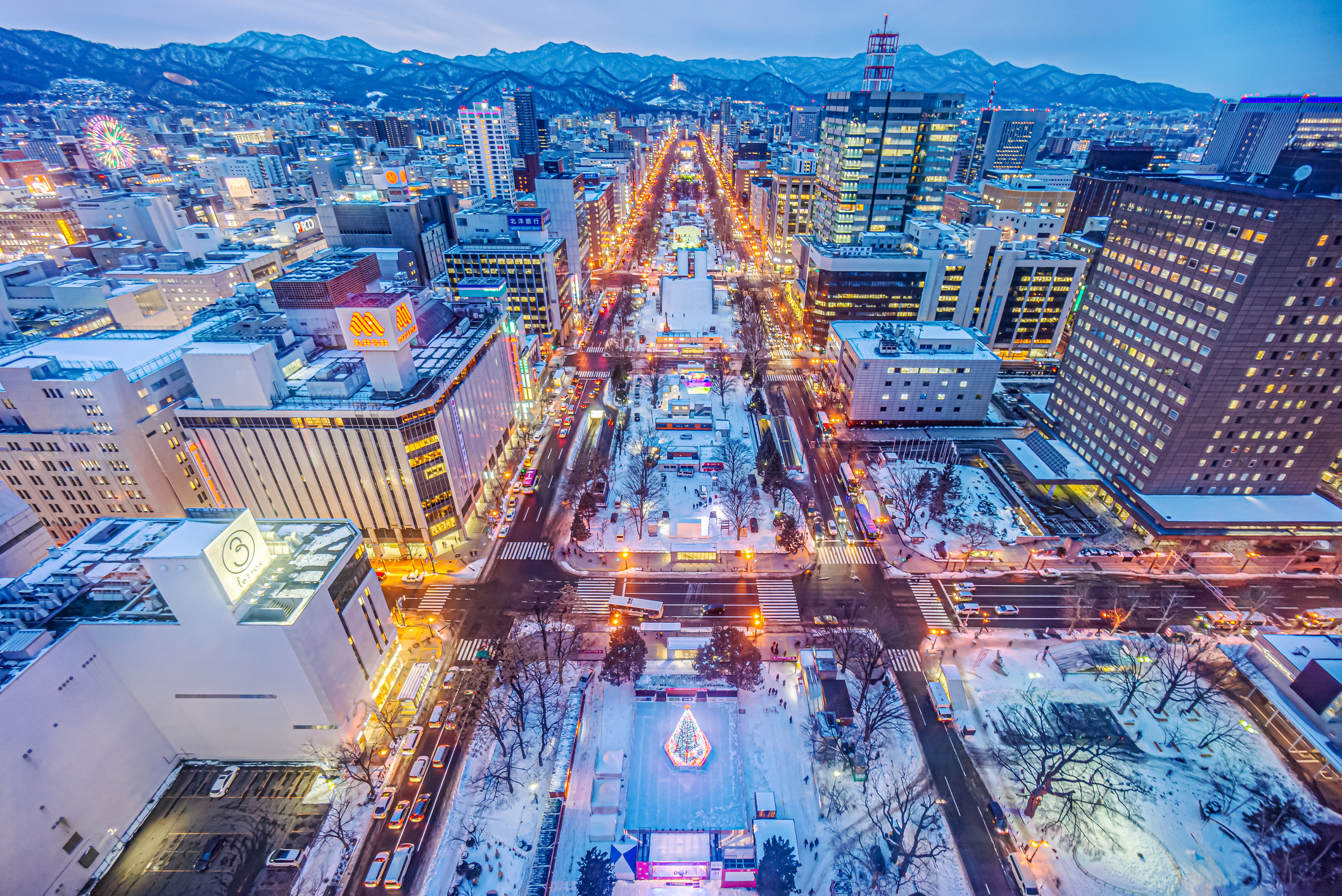 Der Odori Park im Winter in der Stadt Sapporo