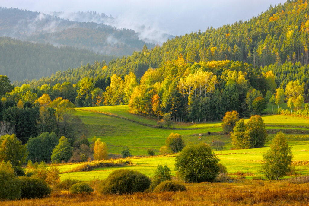 Herbstlandschaft im Bayerischen Wald - Bildnachweis: RelaxFoto.de Stock-Datei-ID: 2161390751 – Lizenz vom: 07.06.2025