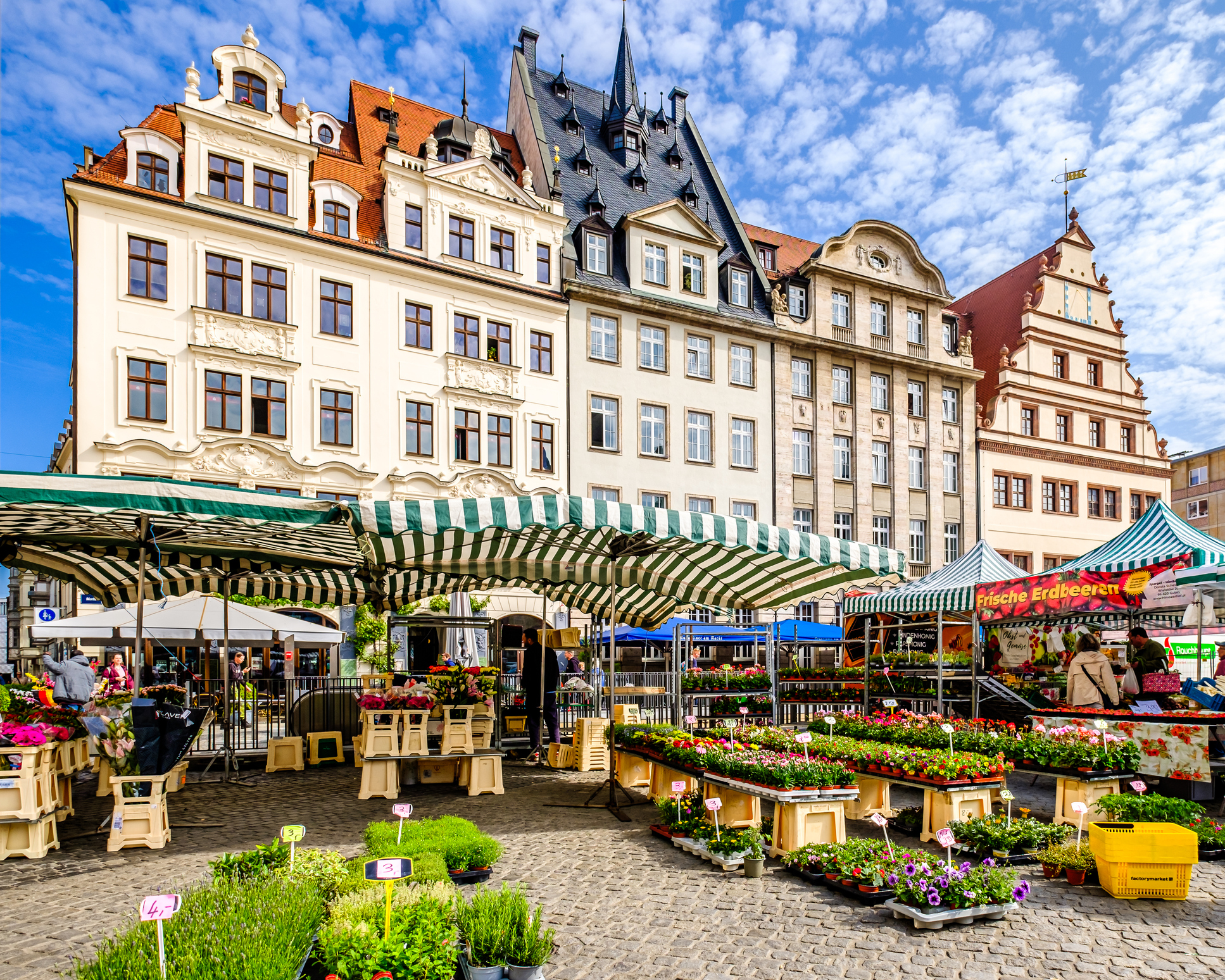 Wochenmarkt in der Leipziger Altstadt - Bildnachweis: FooTToo Stock-Datei-ID: 1502546035 – Lizenz vom: 09.07.2025