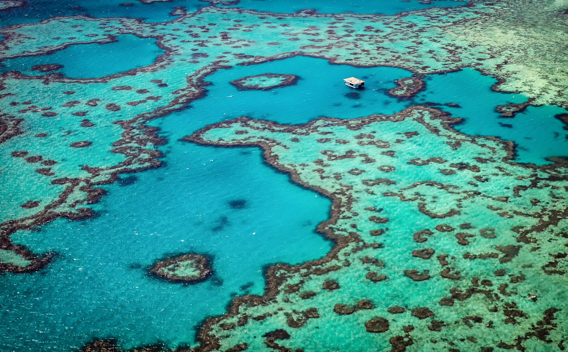 Luftansicht des Great Barrier Reef mit bunten Korallenriffen und klarem Ozeanwasser.