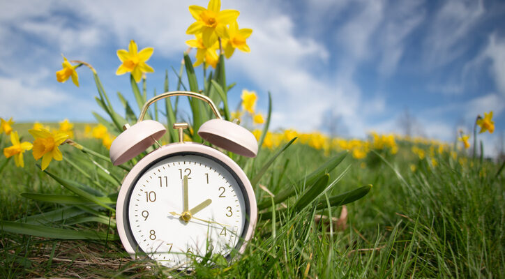 Wecker vor blühenden Narzissen als Symbol für die Zeitumstellung im Frühling.