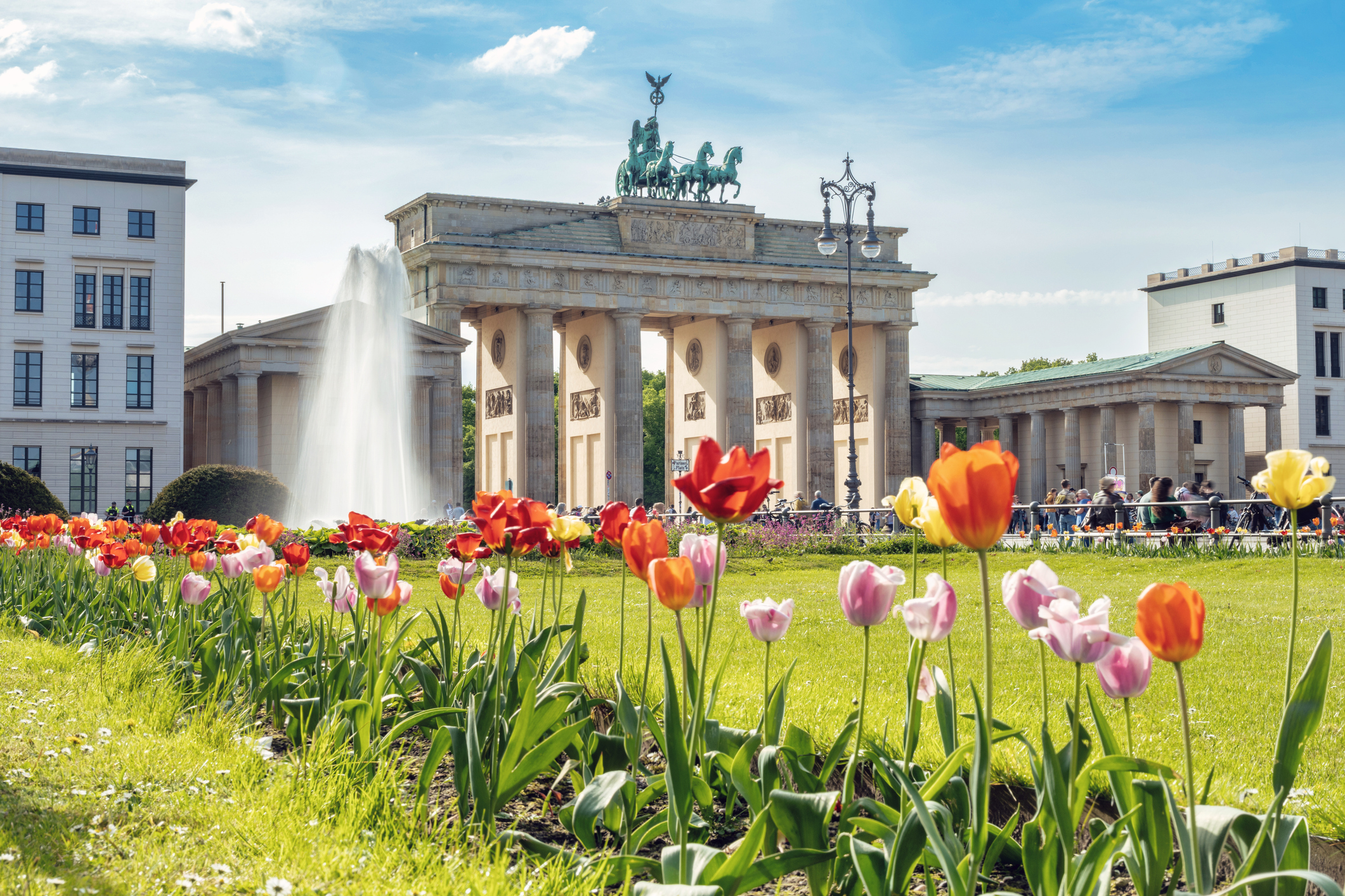 Brandenburger Tor in Berlin mit blühenden Tulpen im Vordergrund bei Frühlingswetter