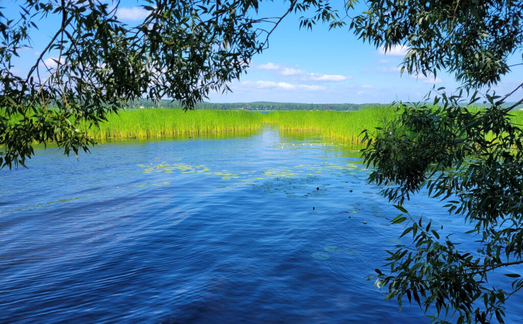 Der Scharmützelsee in Brandenburg - Bildnachweis: Florian Ruess Stock-Datei-ID: 2159300056 – Lizenz vom: 12.07.2025