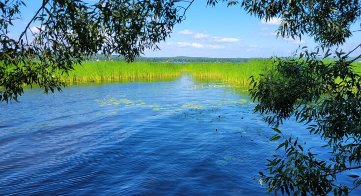 Der Scharmützelsee in Brandenburg - Bildnachweis: Florian Ruess Stock-Datei-ID: 2159300056 – Lizenz vom: 12.07.2025