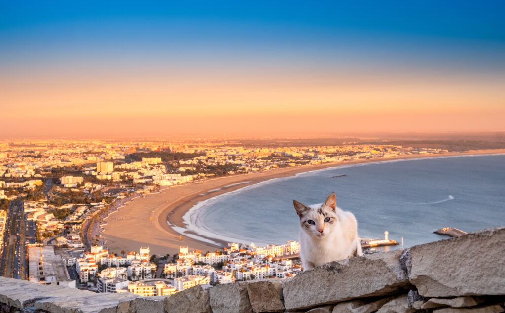 Panoramablick auf die Stadt Agadir - Bildnachweis: Julia Lavrinenko Stock-Datei-ID: 2171042868 – Lizenz vom: 03.07.2025