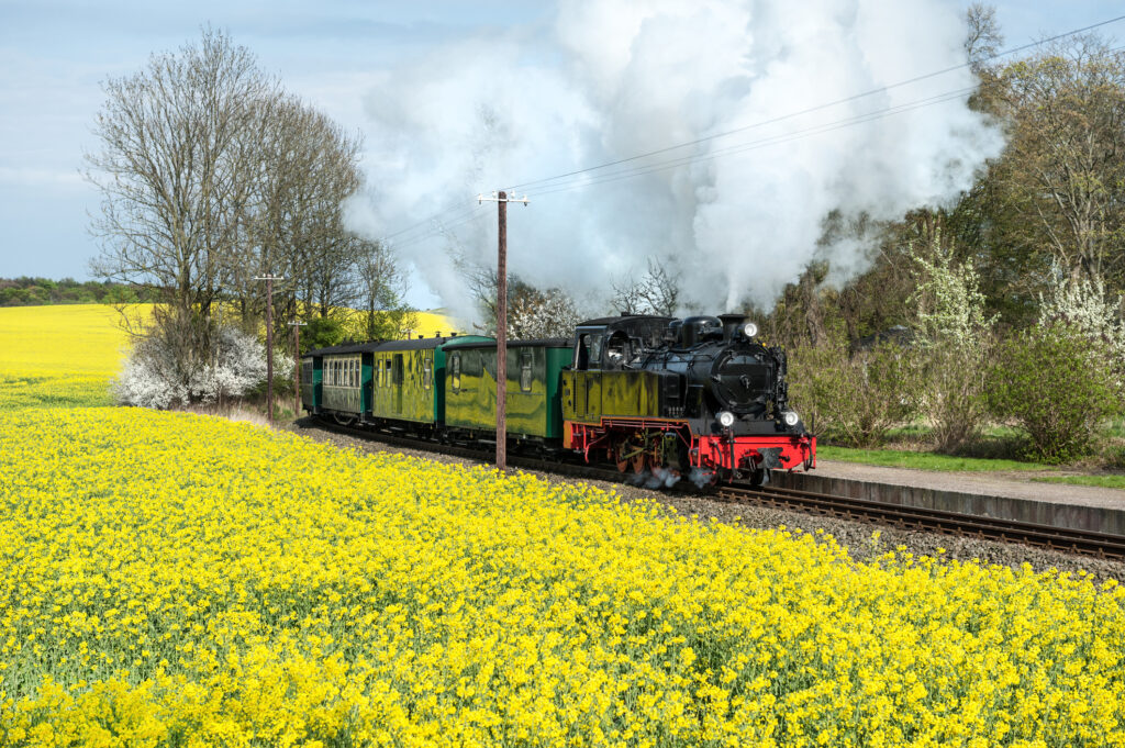 Der rasende Roland auf Rügen - Bildnachweis: anyaivanova Stock-Datei-ID: 489975611 – Lizenz vom: 08.07.2025