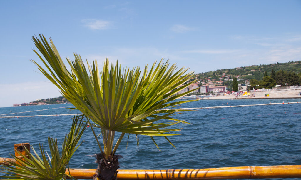 Blick auf den Strand von Portorož - Bildnachweis: HABY Stock-Datei-ID: 506152453 – Lizenz vom: 03.07.2025