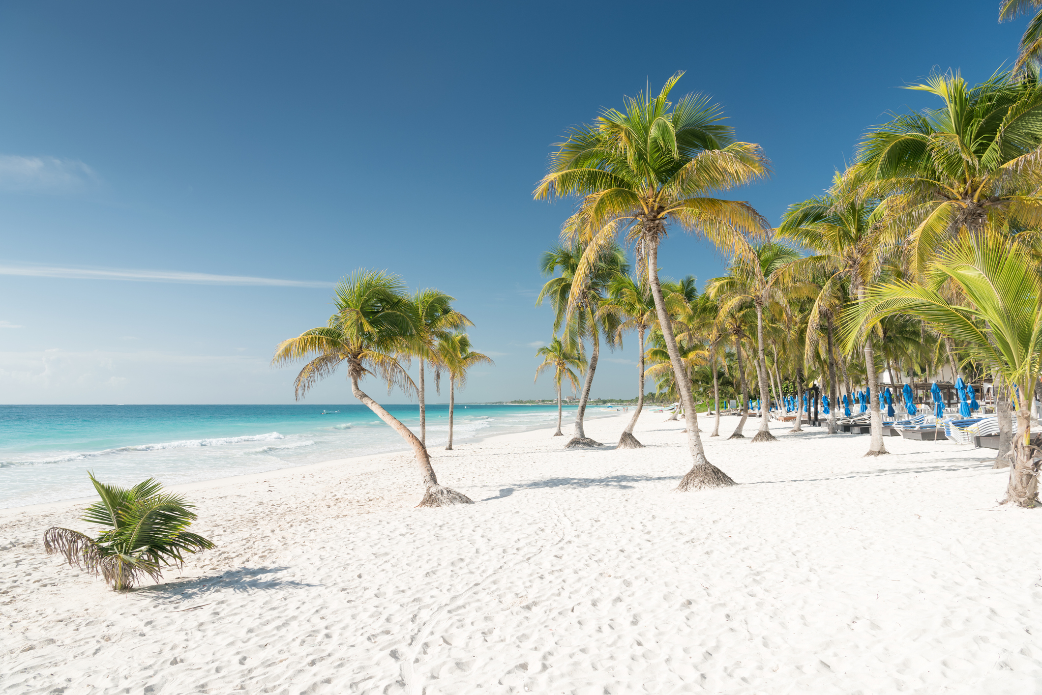 Paradiesische Strände in Tulum / Mexiko - Bildnachweis: 4FR Stock-Datei-ID: 629582468 – Lizenz vom: 03.07.2025