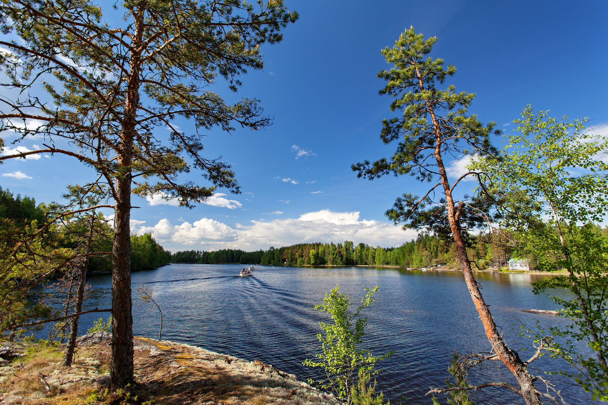 Der Saimaa-See in Finnland - Bildnachweis: IrinaSen Stock-Datei-ID: 816166026 – Lizenz vom: 08.07.2025