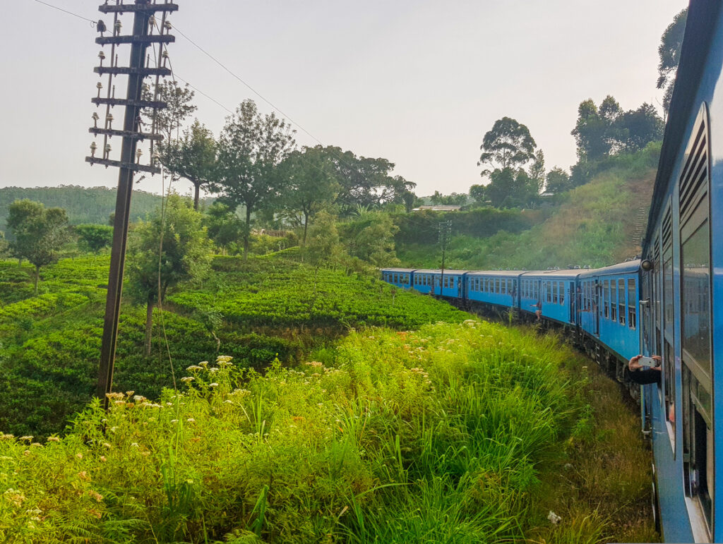 Blauer Zug schlängelt sich durch grüne Teeplantagen im Hochland von Sri Lanka.