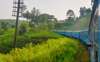 Blauer Zug schlängelt sich durch grüne Teeplantagen im Hochland von Sri Lanka.