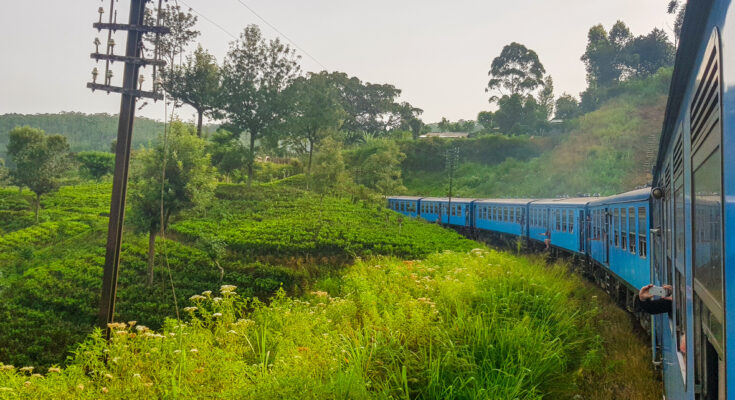 Blauer Zug schlängelt sich durch grüne Teeplantagen im Hochland von Sri Lanka.