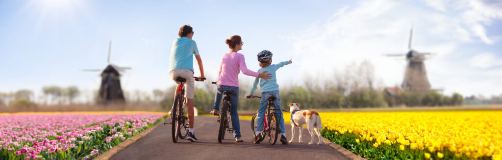 Familie mit Kind und Hund fährt mit dem Fahrrad durch blühende Tulpenfelder in den Niederlanden, im Hintergrund historische Windmühlen.