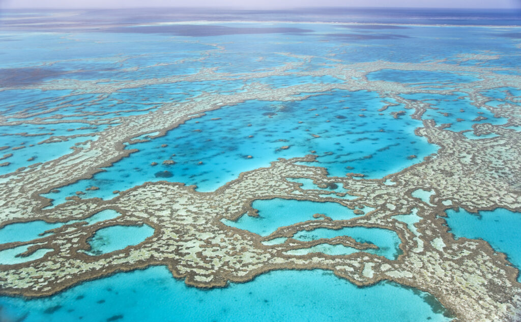 Luftaufnahme des Great Barrier Reefs vor der Küste Queenslands in Australien, mit türkisblauem Wasser und komplexen Korallenformationen.