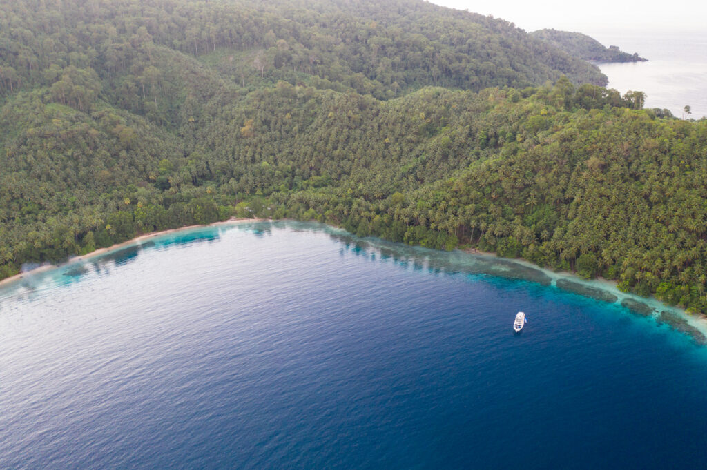 Luftaufnahme: bewaldete Küste auf New Ireland, türkise Riffzone und tiefblaues Meer; einzelnes Boot in der Bucht.