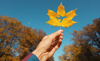 Hand mit gelbem Ahornblatt, in das die Silhouette eines Flugzeugs geschnitten ist; im Hintergrund herbstlich gefärbte Bäume und klarer blauer Himmel.