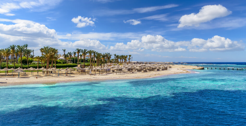 Strand von Marsa Alam mit Palmen, Sonnenschirmen und türkisblauem Meer.