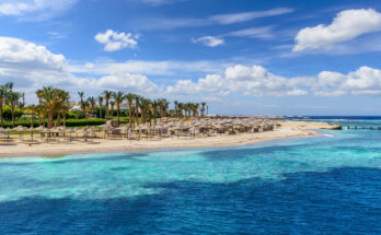 Strand von Marsa Alam mit Palmen, Sonnenschirmen und türkisblauem Meer.