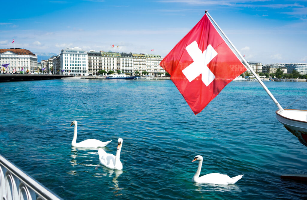 Schwäne und Schweizer Flagge auf dem Genfersee in Genf