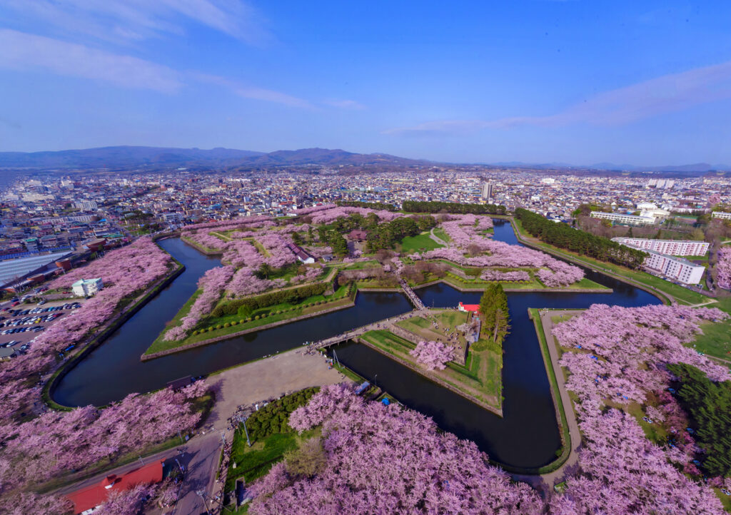 Luftbild der sternförmigen Festung Goryōkaku in Hakodate, umgeben von rosa Kirschblüten und Wassergräben