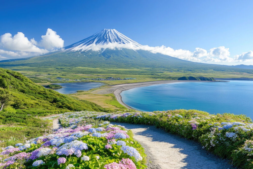 Majestätischer Mount Fuji in Japan mit schneebedeckter Spitze, grünen Ebenen, blauem See und blühenden Hortensien im Vordergrund.
