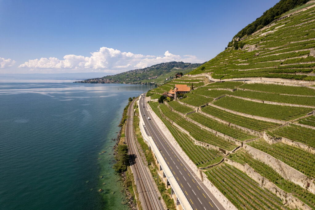 Terrassenweinberge Lavaux am Genfersee bei Lausanne mit Straße und Bahn am Ufer