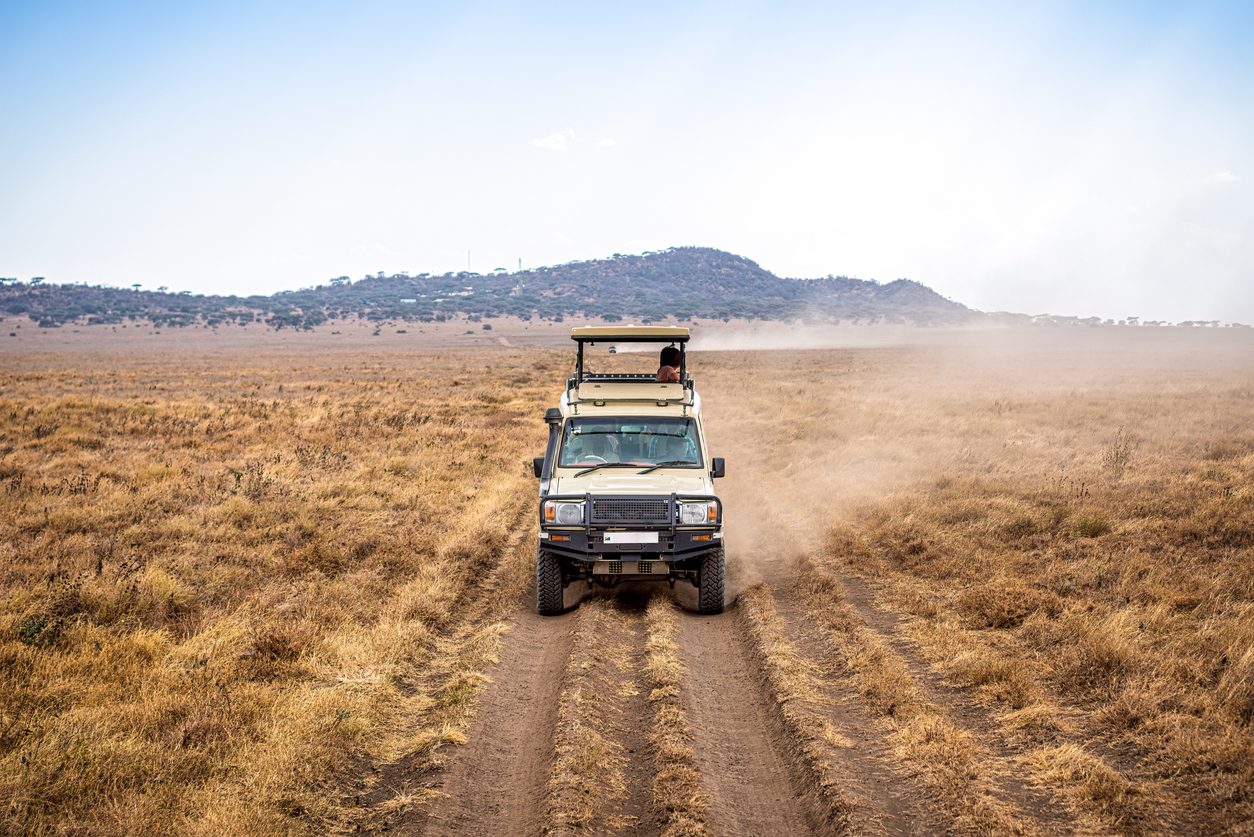 Offener Safari-Jeep fährt staubige Spur durch Savanne im Kruger-Nationalpark vor niedrigen Hügeln.