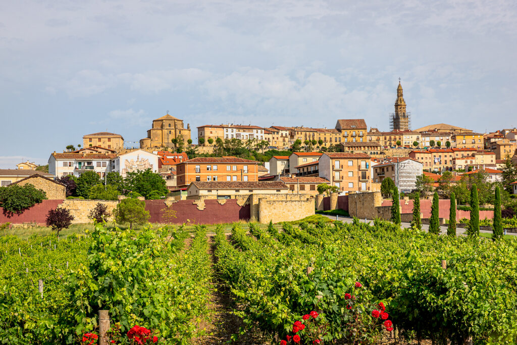 Panorama mit grünen Rebreihen und roten Rosenstöcken im Vordergrund; dahinter eine historische Hügeltstadt in La Rioja mit Natursteinfassaden und markantem Kirchturm unter leicht bewölktem Himmel.
