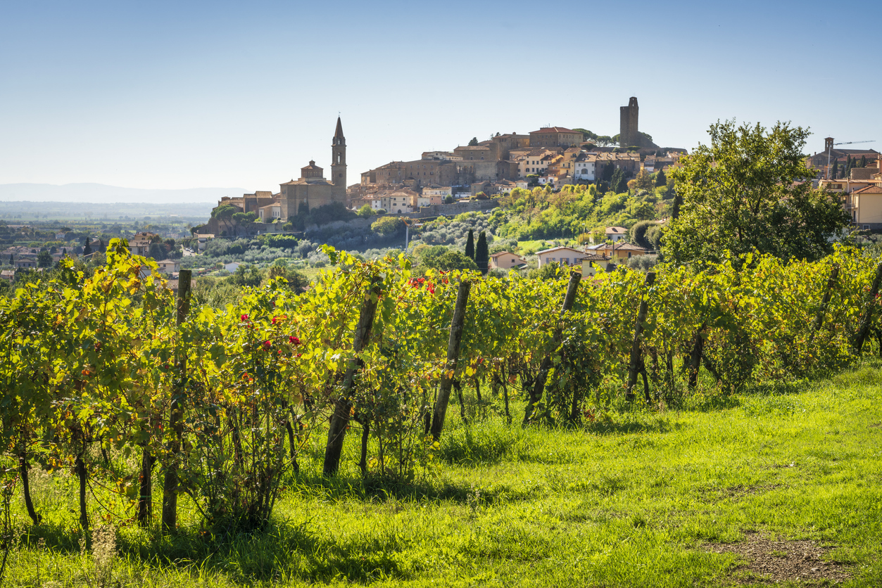 Weitwinkelaufnahme einer toskanischen Hügellandschaft mit grünen Rebreihen im Vordergrund, Olivenhainen, Zypressen und einem terrakottafarbenen Dorf mit Campanile und Wehrturm auf einem Hügel unter klarem, blauem Himmel.