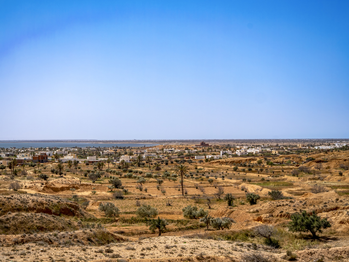 Panoramablick über die trockene Landschaft von Djerba mit Palmen, verstreuten Häusern und dem Meer am Horizont unter klarem Himmel.