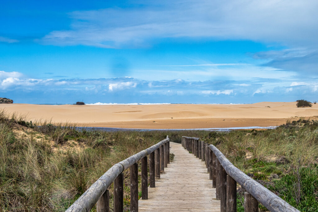 Holzsteg durch Dünengras zur großen Sanddüne an der Costa Vicentina unter blauem Himmel