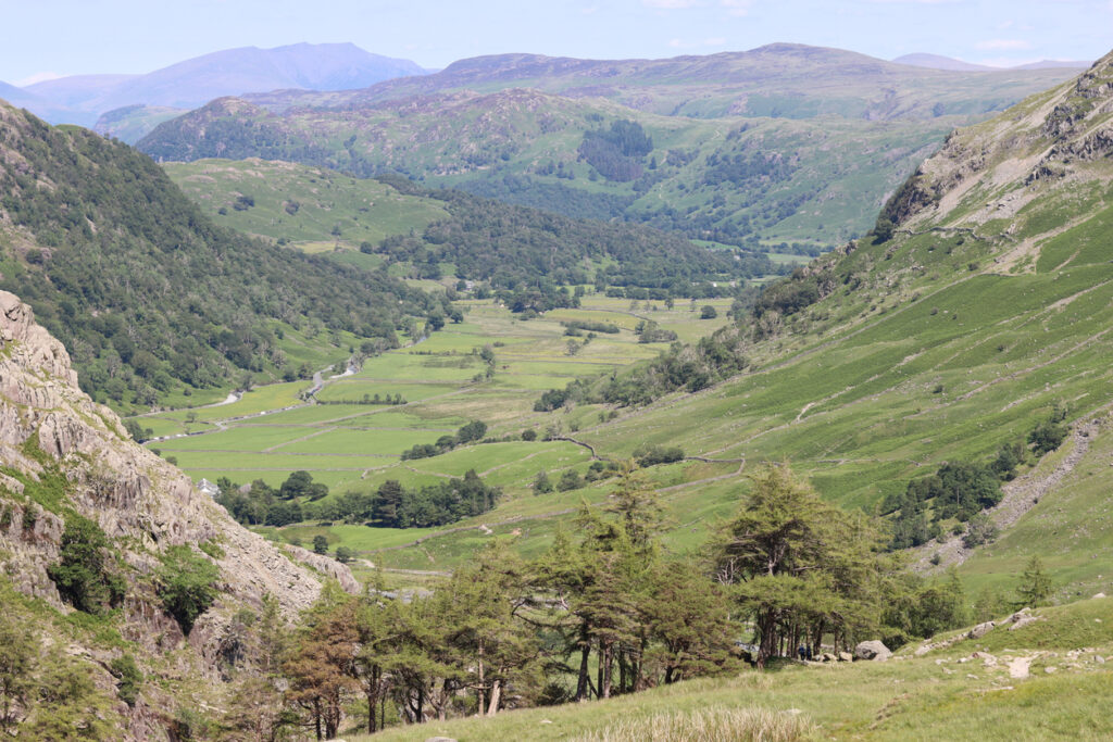 Panorama des Seathwaite-Tals im Lake District mit grünen Hügeln, Bach und Trockensteinmauern
