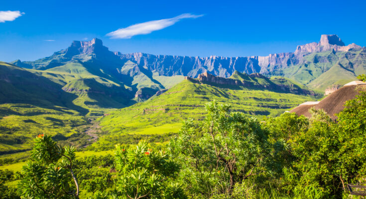 Grüne Täler und die steilen Klippen des Amphitheaters in den Drakensbergen unter blauem Himmel.