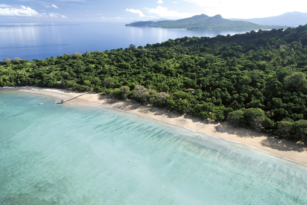 Türkisblaue Lagune und weißer Sandstrand vor dichtem Regenwald auf Mayotte, mit kleinem Steg ins Meer.