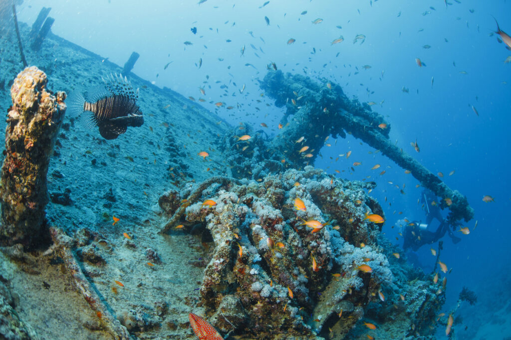 Taucher und bunte Fische am bewachsenen Wrack der SS Thistlegorm im Roten Meer.