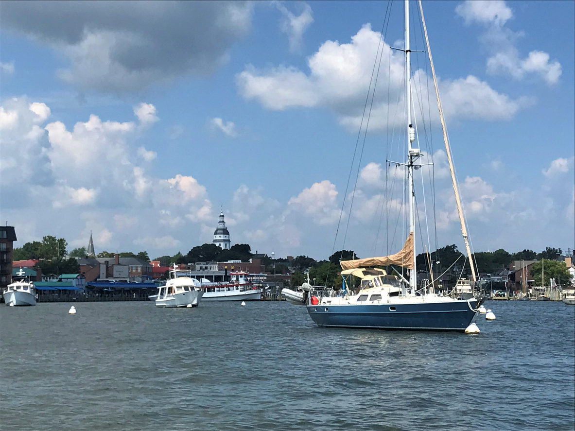 Segel- und Ausflugsboote liegen im Hafen von Annapolis, Maryland, mit der Uferpromenade und der Kuppel des Maryland State House im Hintergrund unter blauem Himmel.