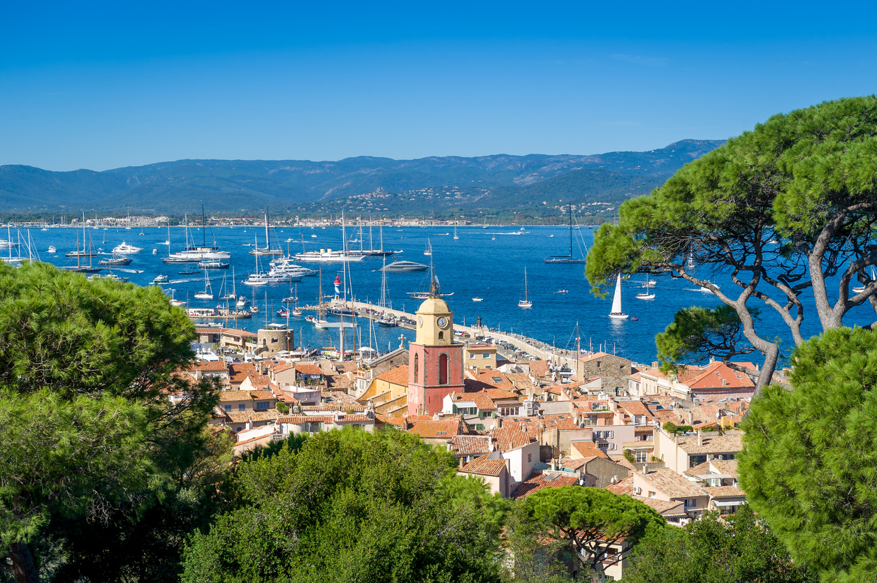 Aussicht auf Saint-Tropez mit Terrakotta-Dächern, gelbem Uhrturm, Hafenmole, vielen Yachten und tiefblauer Mittelmeerbucht, gerahmt von Pinien.