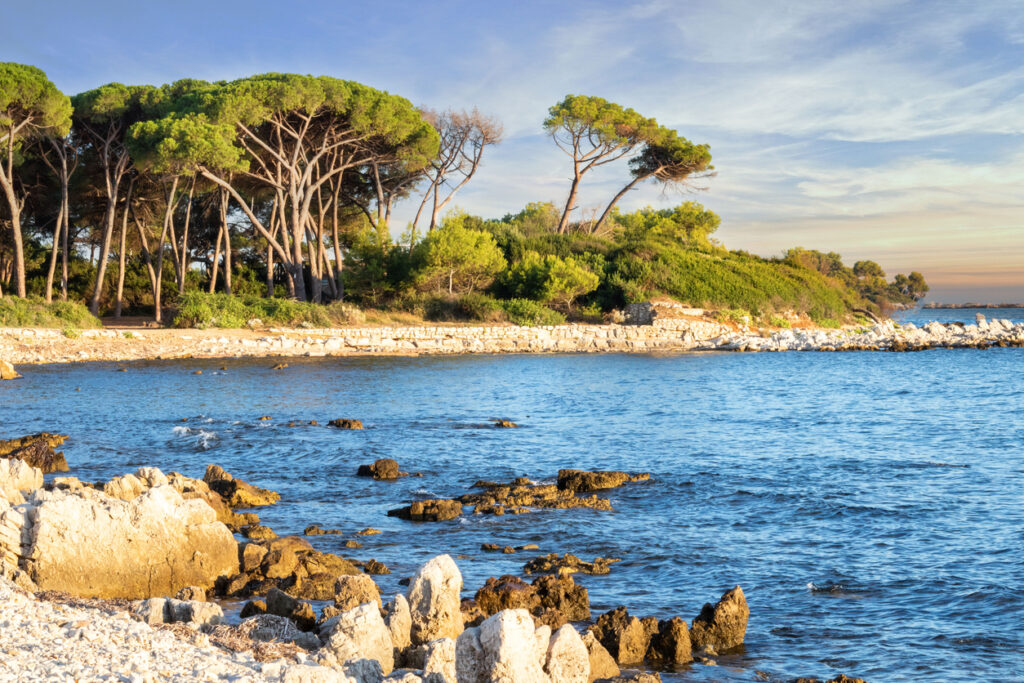 Blick auf die Lérins-Inseln Sainte-Marguerite und Saint-Honorat bei Cannes mit türkisfarbenem Mittelmeer, Fort Royal, Abtei und dichten Pinien.