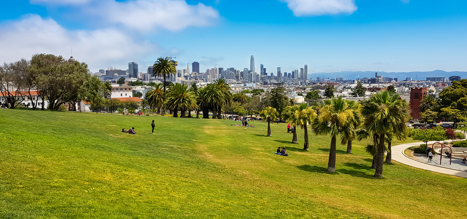 Überblick über den Mission Dolores Park mit Palmen, Picknickern und der Downtown-Skyline von San Francisco im Hintergrund