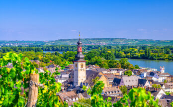 Aussicht über Rüdesheim am Rhein mit Weinreben im Vordergrund, markantem Kirchturm und grünem Flusstal unter blauem Himmel.