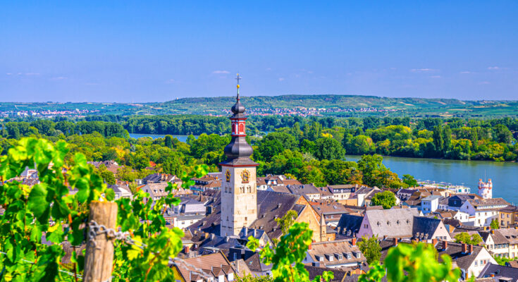 Aussicht über Rüdesheim am Rhein mit Weinreben im Vordergrund, markantem Kirchturm und grünem Flusstal unter blauem Himmel.
